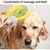 Zoomtopia Brosse spa multifonction pour animaux
