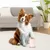 Zoomtopia Nettoyeur de pattes pour chien
