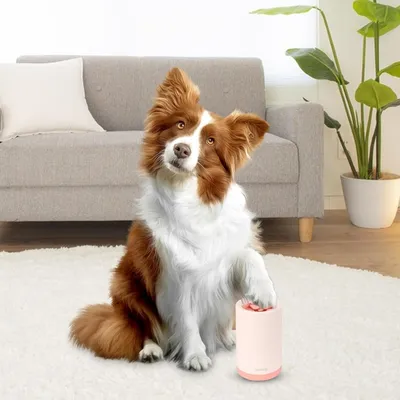 Zoomtopia Nettoyeur de pattes pour chien
