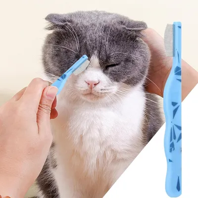 Zoomtopia Peigne pour animal de compagnie