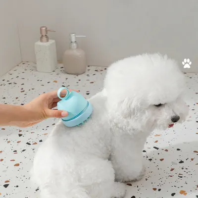 Zoomtopia Brosse de bain pour chien