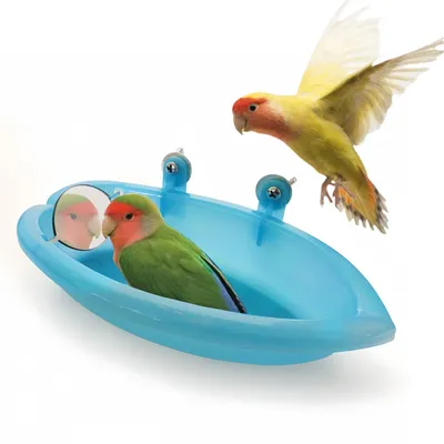 Rocky Baignoire pour oiseaux avec miroir