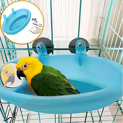 Rocky Baignoire pour oiseaux avec miroir