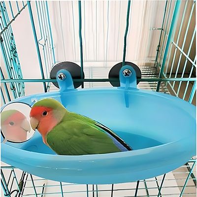 Rocky Baignoire pour oiseaux avec miroir