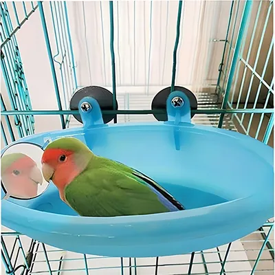 Rocky Baignoire pour oiseaux avec miroir