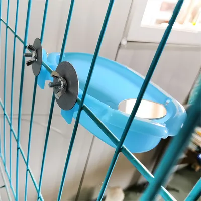 Rocky Baignoire pour oiseaux avec miroir