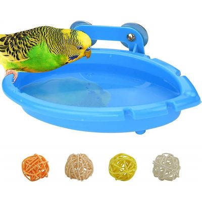 Rocky Bain d'oiseaux