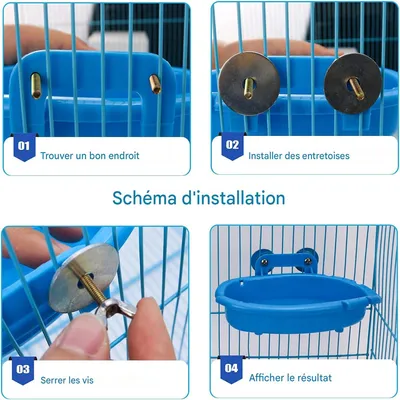 Rocky Bain d'oiseaux