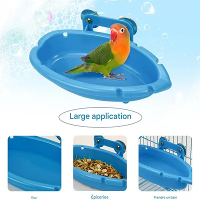 Rocky Bain d'oiseaux