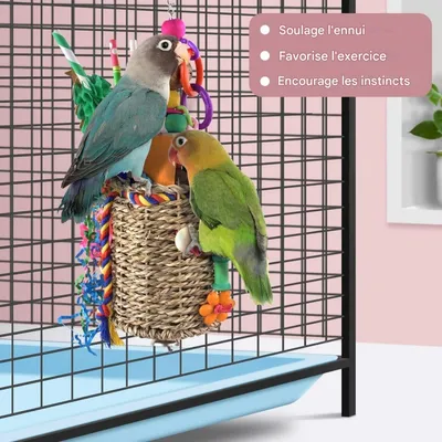 ZooVenture Jouet Panier de recherche pour oiseaux