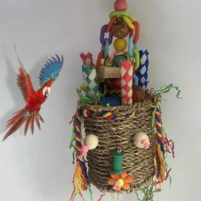 ZooVenture Cesta de juguete para buscar pájaros