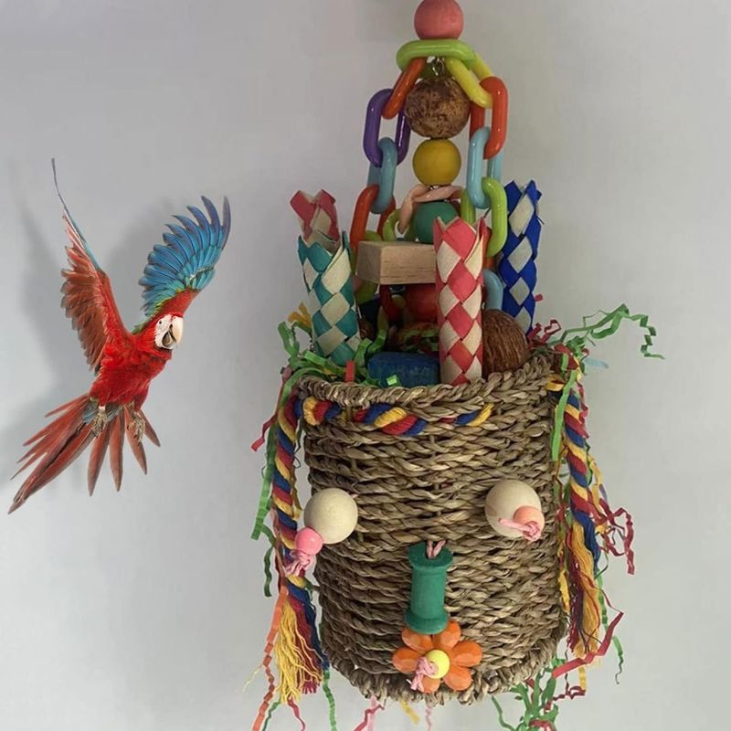 ZooVenture Jouet Panier de recherche pour oiseaux