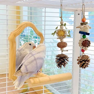 ZooVenture Paquete de 2 juguetes masticables para pájaros