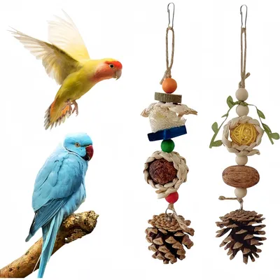 ZooVenture Paquete de 2 juguetes masticables para pájaros