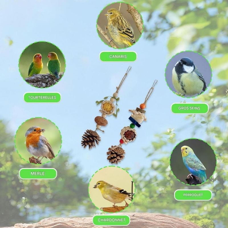 ZooVenture Jouets à mâcher lot de 2 pour oiseaux
