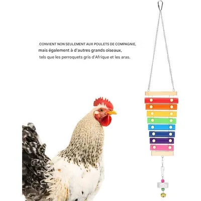 ZooVenture Xilófono de juguete para gallinas