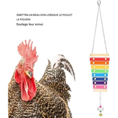 ZooVenture Xilófono de juguete para gallinas