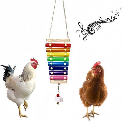 ZooVenture Xylophone jouet pour poules