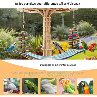 ZooVenture Jouet à mâcher pour perroquets