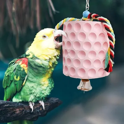 ZooVenture Juguete masticable para pájaros y piedra de lijar para picos