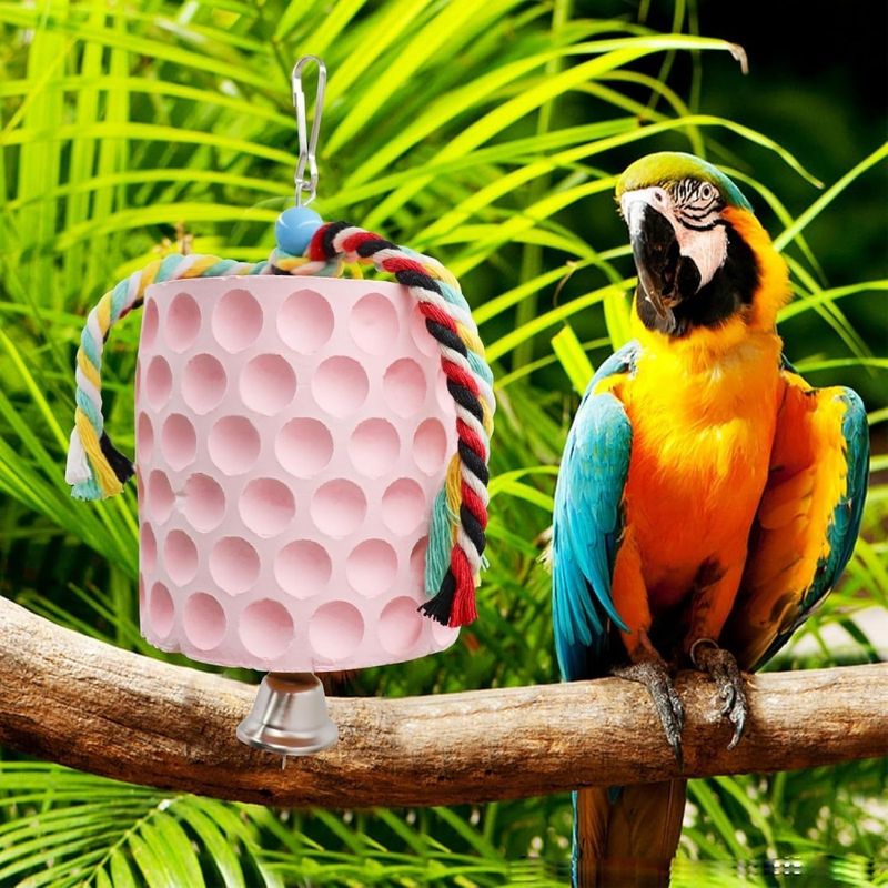 ZooVenture Jouet de grignotage et pierre de ponçage pour becs pour oiseaux