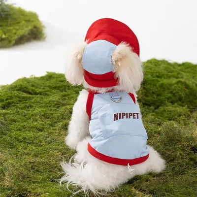 Rocky Gilet et chapeau de soleil pour animal