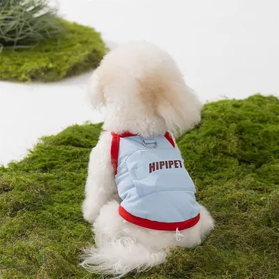 Rocky Gilet et chapeau de soleil pour animal