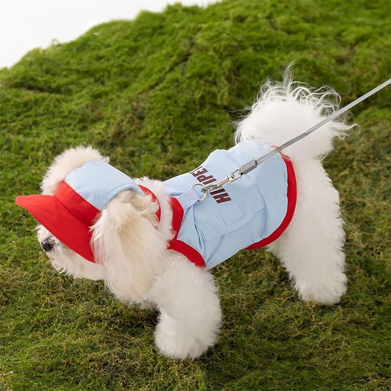 Rocky Gilet et chapeau de soleil pour animal