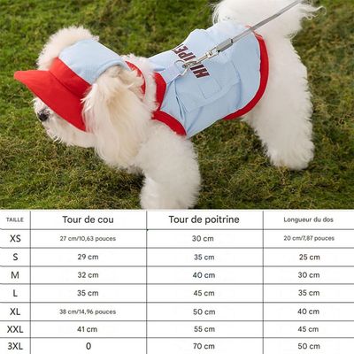 Rocky Gilet et chapeau de soleil pour animal