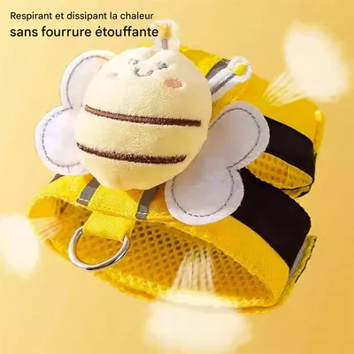 Pawzy Kit de harnais et de laisse pour chien