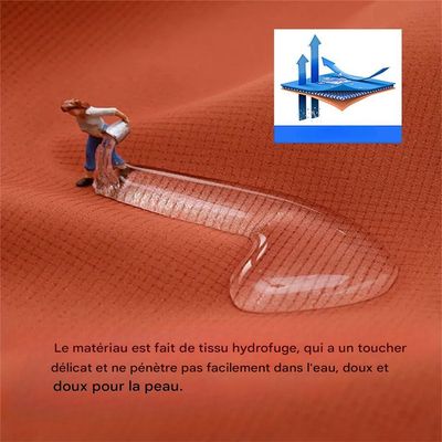 Rocky Harnais pour chien