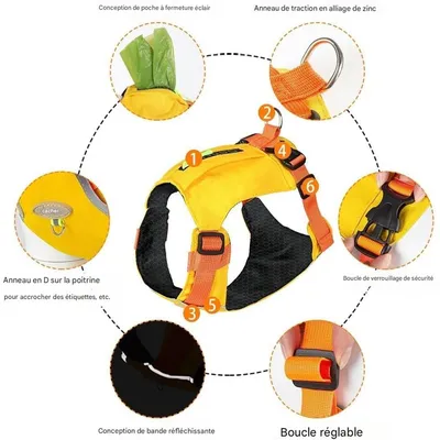 Rocky Harnais pour chien