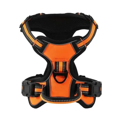 Rocky Harnais pour chien Rocky Harnais pour chien