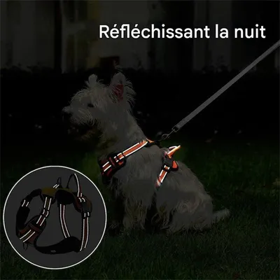 Rocky Harnais pour chien