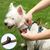 Rocky Harnais pour chien