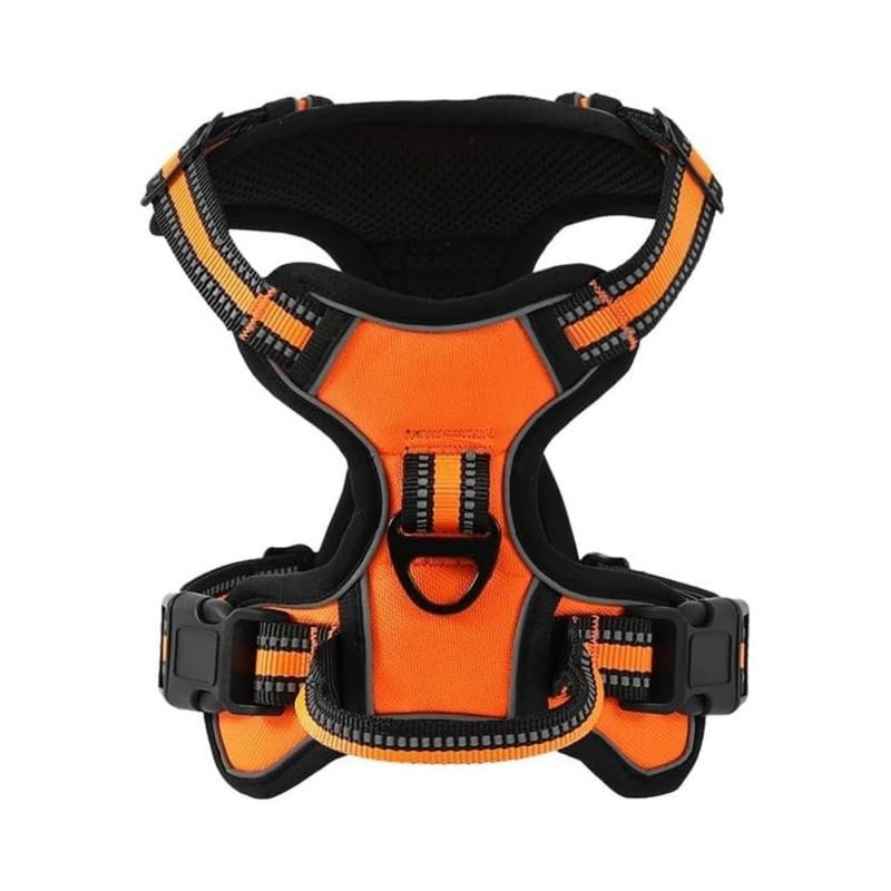 Rocky Harnais pour chien
