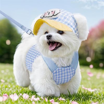 Rocky Harnois et casquette pour chien