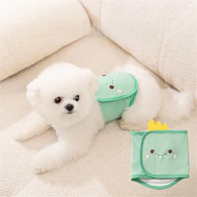 Rocky Vêtement de protection pour animaux