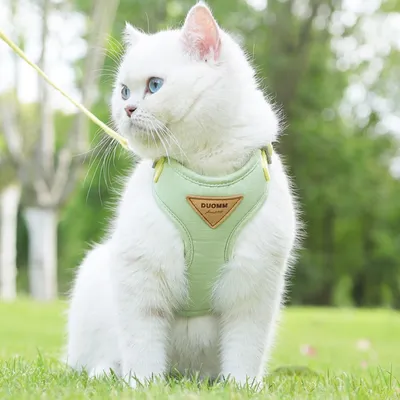 Zoomtopia Harnais de sécurité pour chat