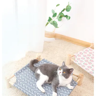 Zoomtopia Hamac pour Animaux de Compagnie