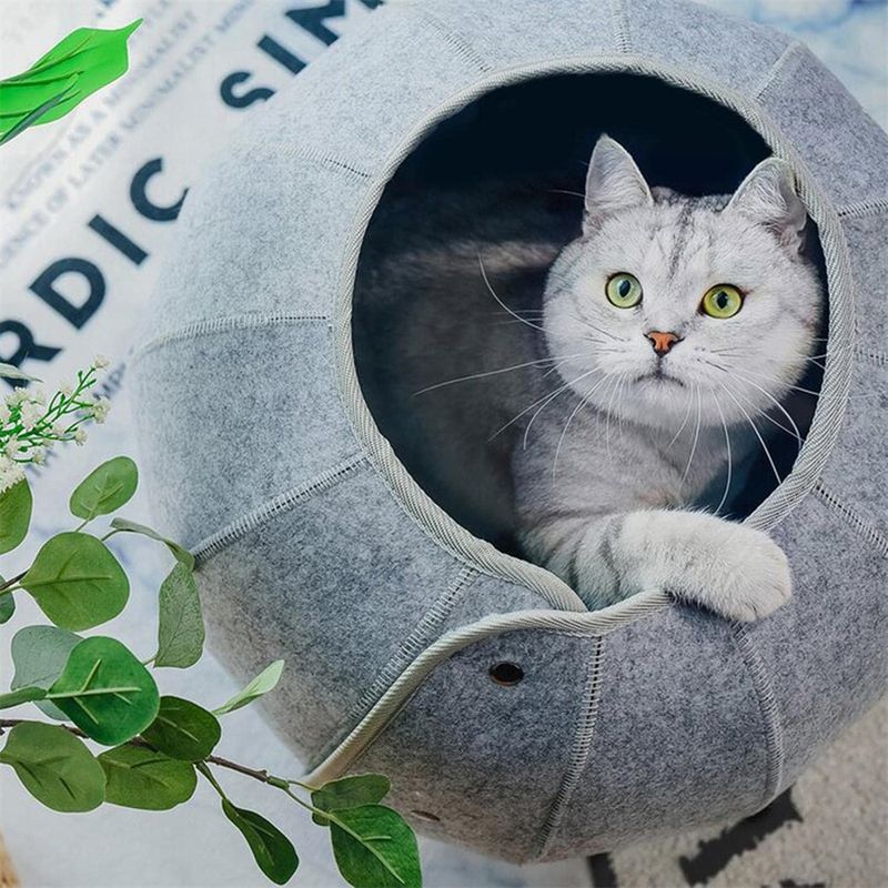 Rocky Nid pour chat