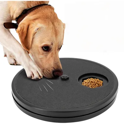 Zoomtopia Planche Toiletteur 3-en-1 pour chiens