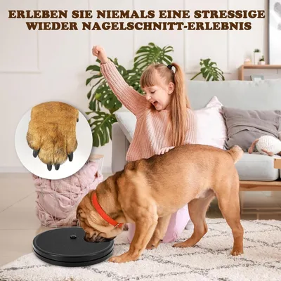 Zoomtopia Planche Toiletteur 3-en-1 pour chiens