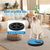 Zoomtopia Planche Toiletteur 3-en-1 pour chiens