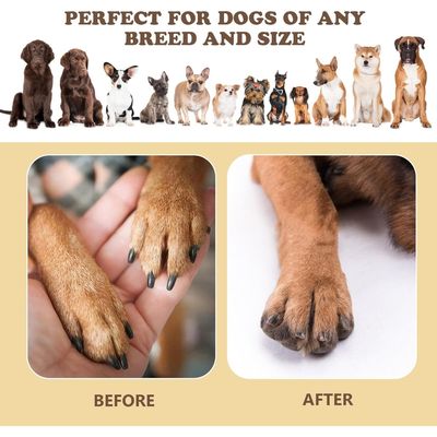 Zoomtopia Planche Toiletteur 3-en-1 pour chiens