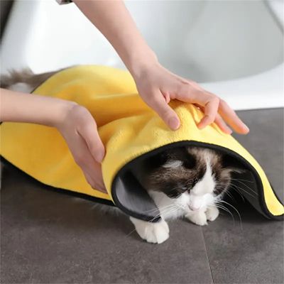 Rocky Serviette absorbante pour animaux de compagnie