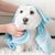 Zoomtopia Peignoir de bain pour chien et chat