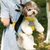 Zoomtopia Sac de transport pour animaux