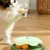 Zoomtopia Jouet intelligent pour chat