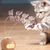 Rocky Jouet de papillon rotatif pour chat
